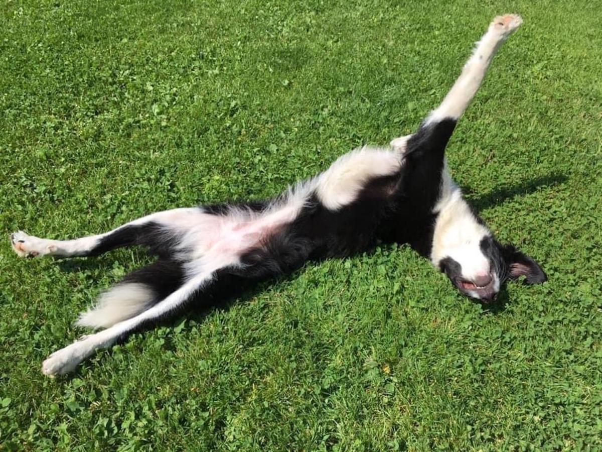 Lebenshof Varm - Die Vegane Farm Villa Sulb Buitenkant foto