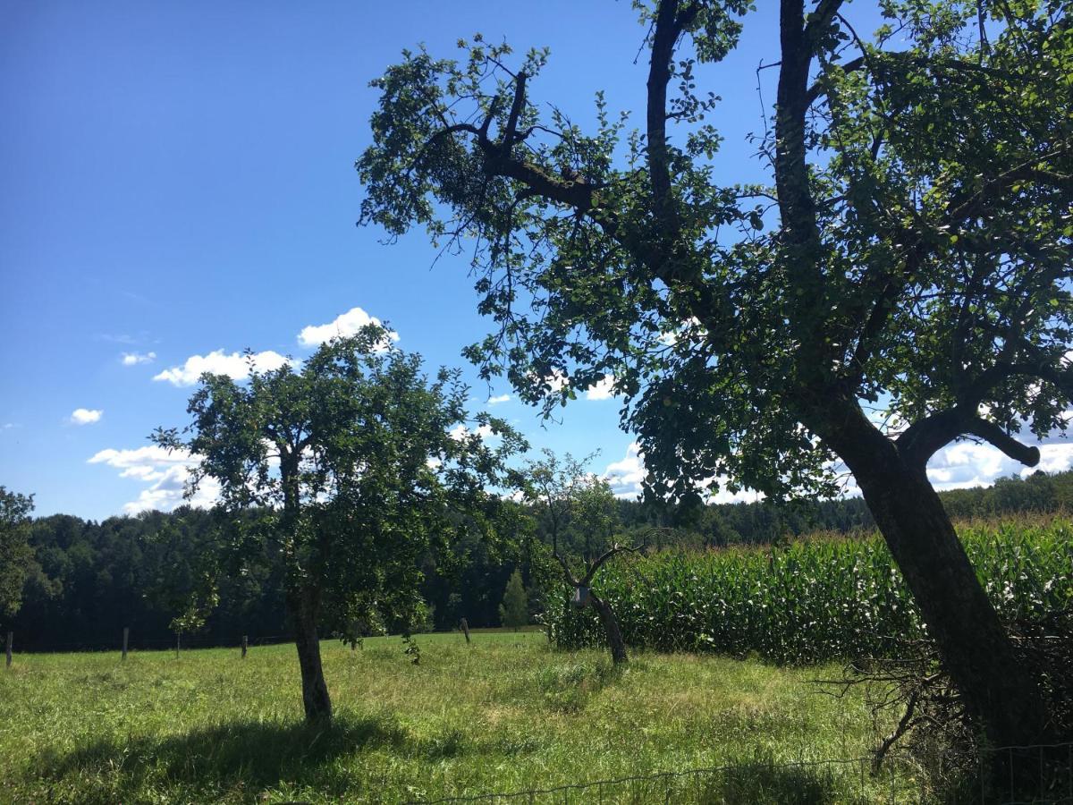 Lebenshof Varm - Die Vegane Farm Villa Sulb Buitenkant foto