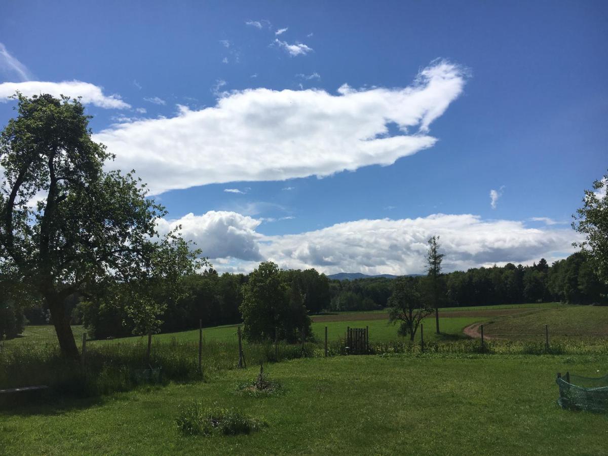 Lebenshof Varm - Die Vegane Farm Villa Sulb Buitenkant foto