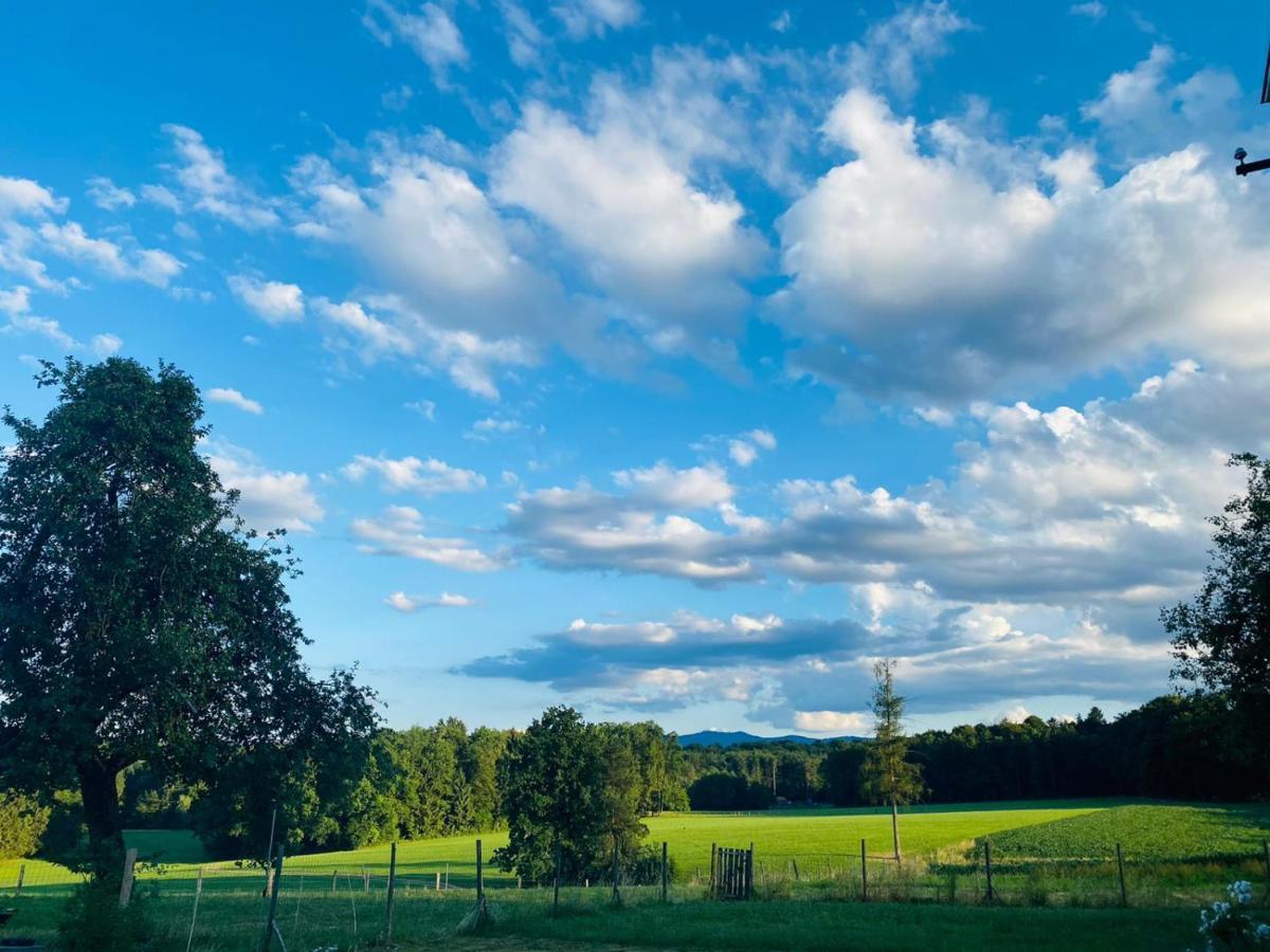 Lebenshof Varm - Die Vegane Farm Villa Sulb Buitenkant foto